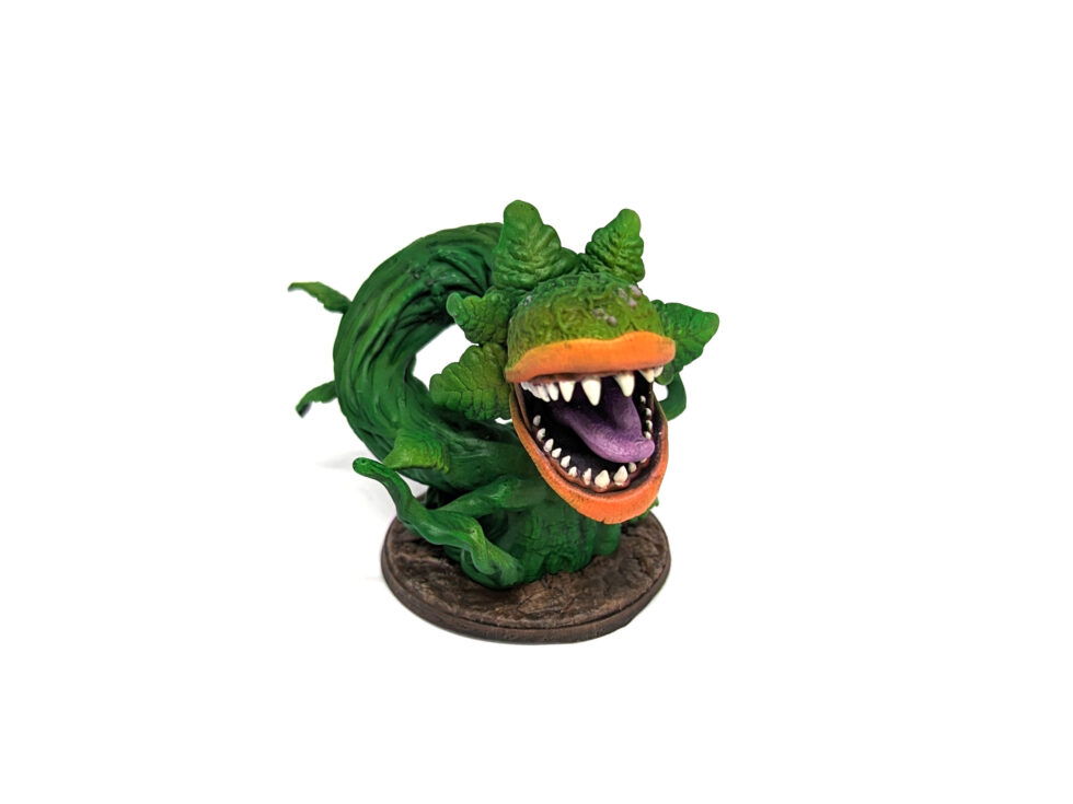 Carnivorous Plants - Image 3