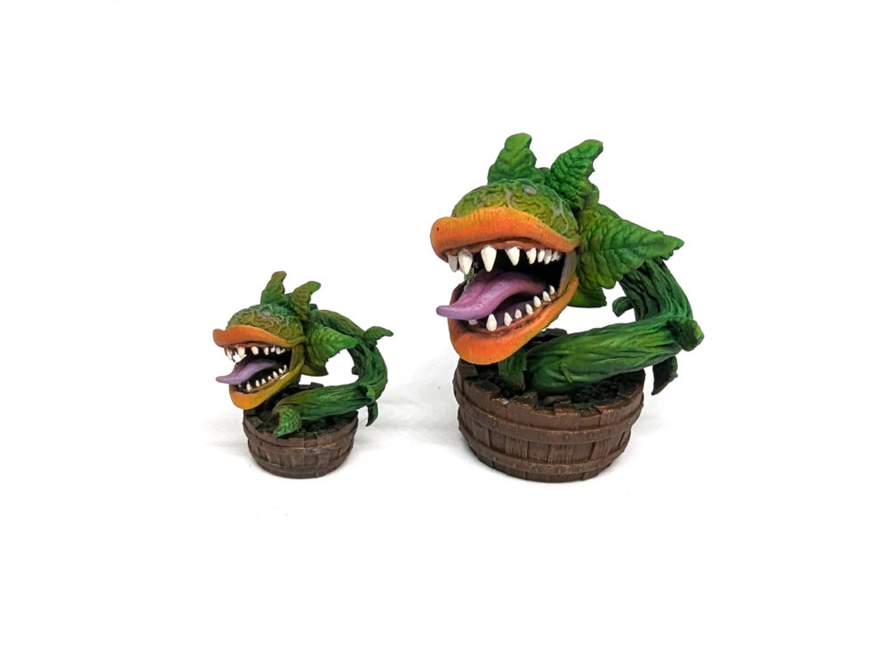 Carnivorous Plants - Image 5